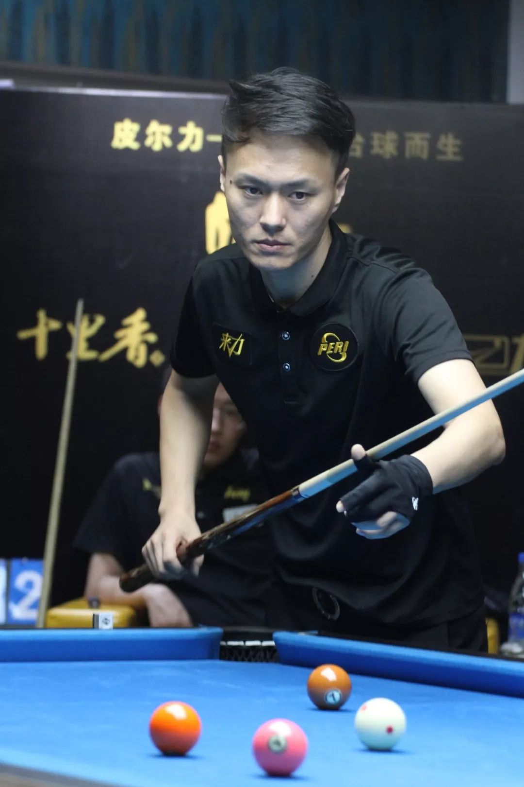 教训在于 教训在于