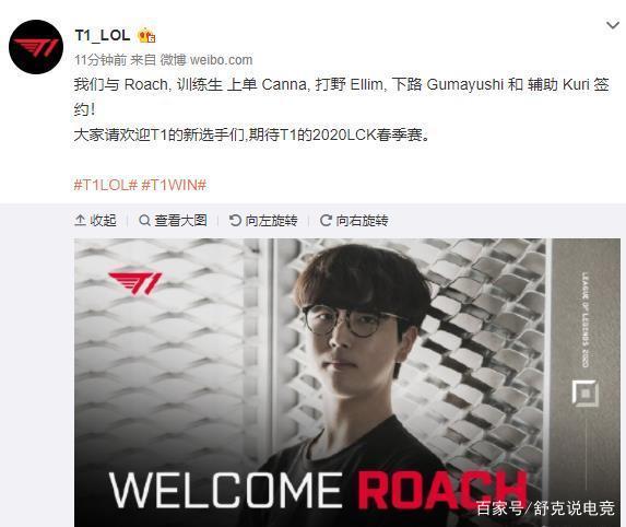 波动巨大