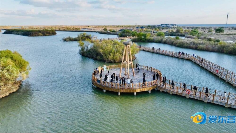 部流量依赖 部流量依赖